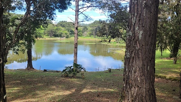 Foto imóvel