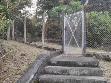 Escada para �rea verde