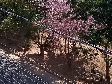 Vista da Sacada