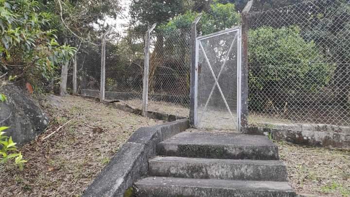 Escada para área verde