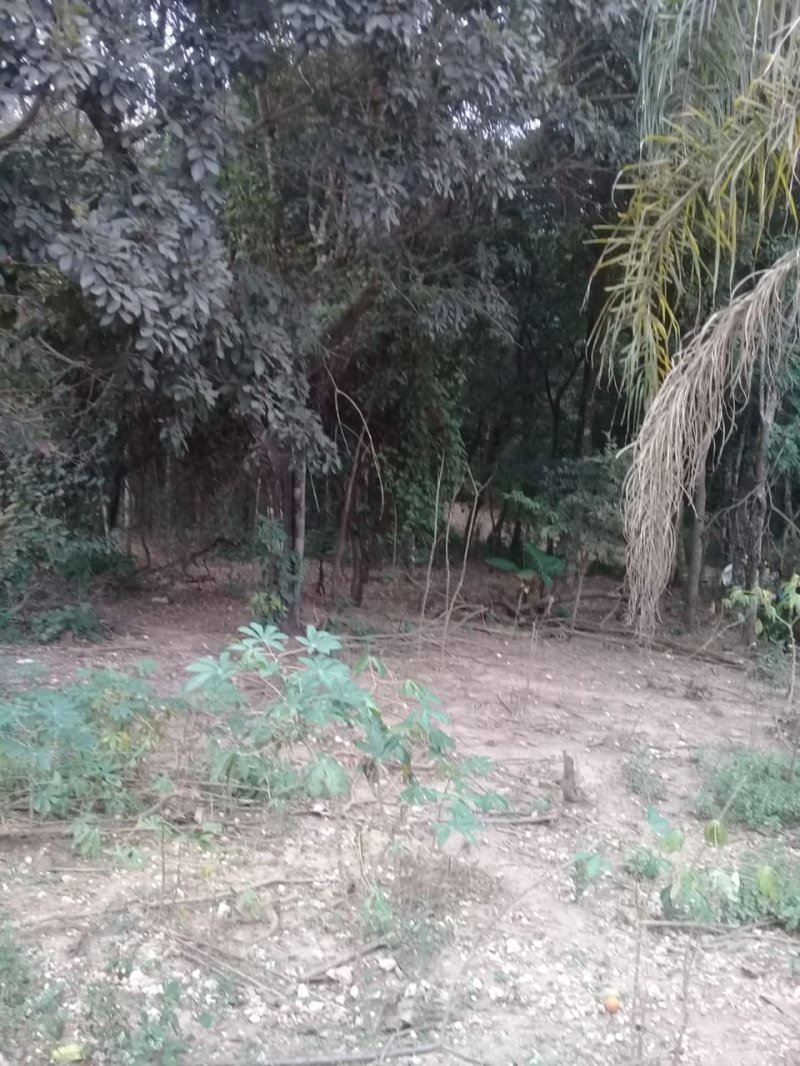 Quintal