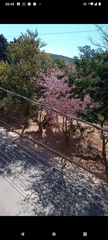 Vista da Sacada