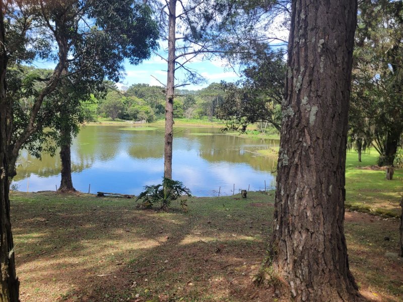 Chácara - Venda - Mairinque - Mairinque - SP