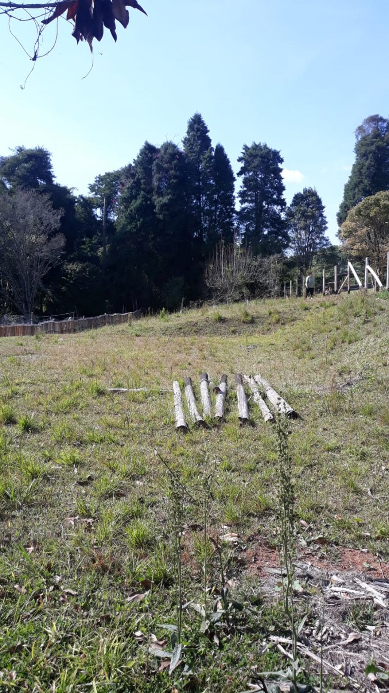 Terreno - Venda - Oriental - Mairinque - SP