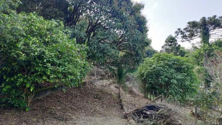Área Verde